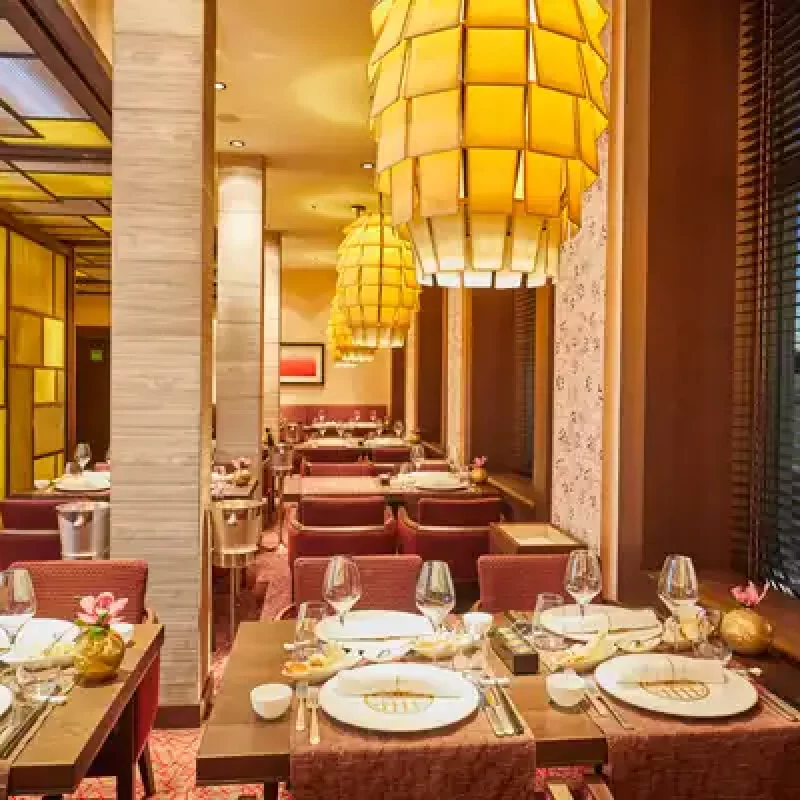 EUROPA 2 Elements dining