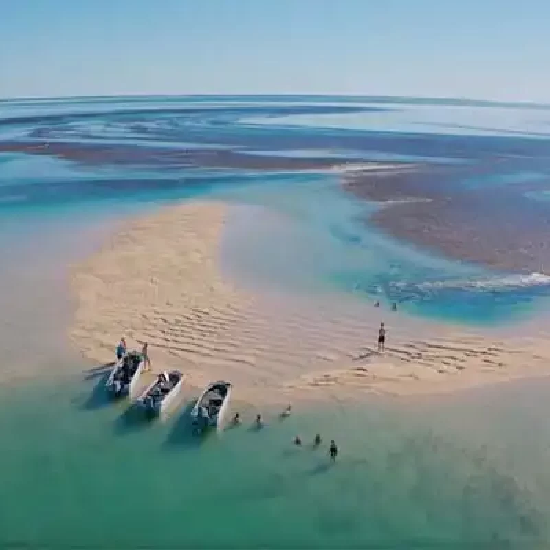 DIVERSITY-II-tenders-at-reef-1