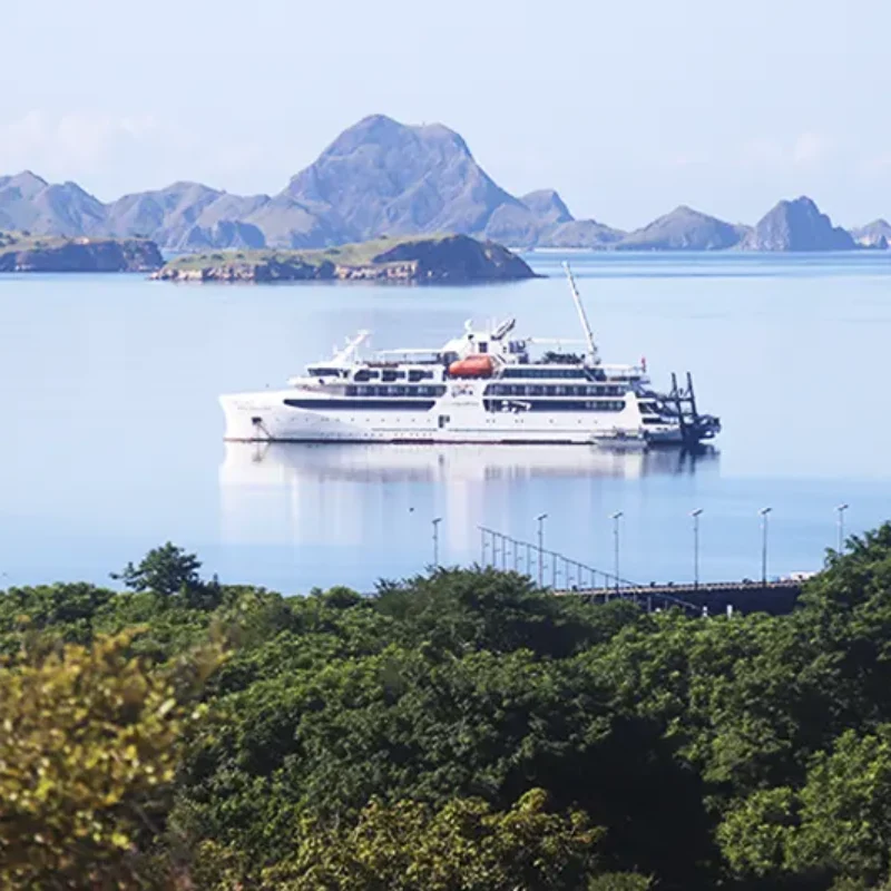 CORAL GEOGRAPHER-Itineraries-Coral Geographer at Komodo Island