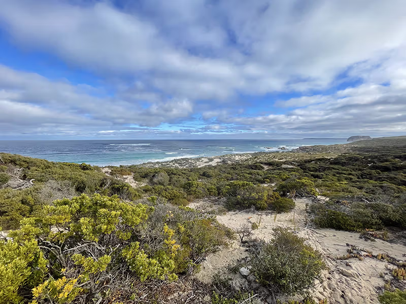 KANGAROO ISLAND west ocean view