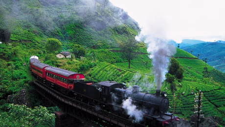 SRI-LANKA-DELUXE PACKAGES