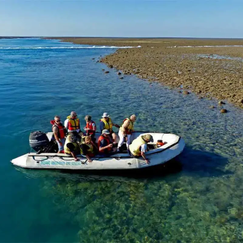 CORAL-EXPEDITIONS-Montgomery-Reef CORAL-EXPEDITIONS-Montgomery-Reef